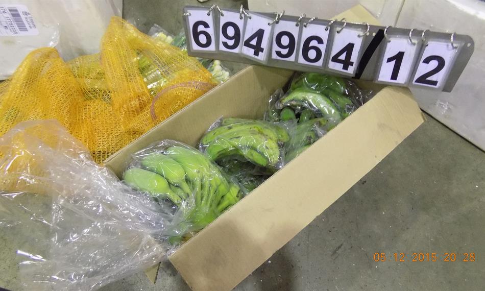 2015-12-8-953foto 10.JPG